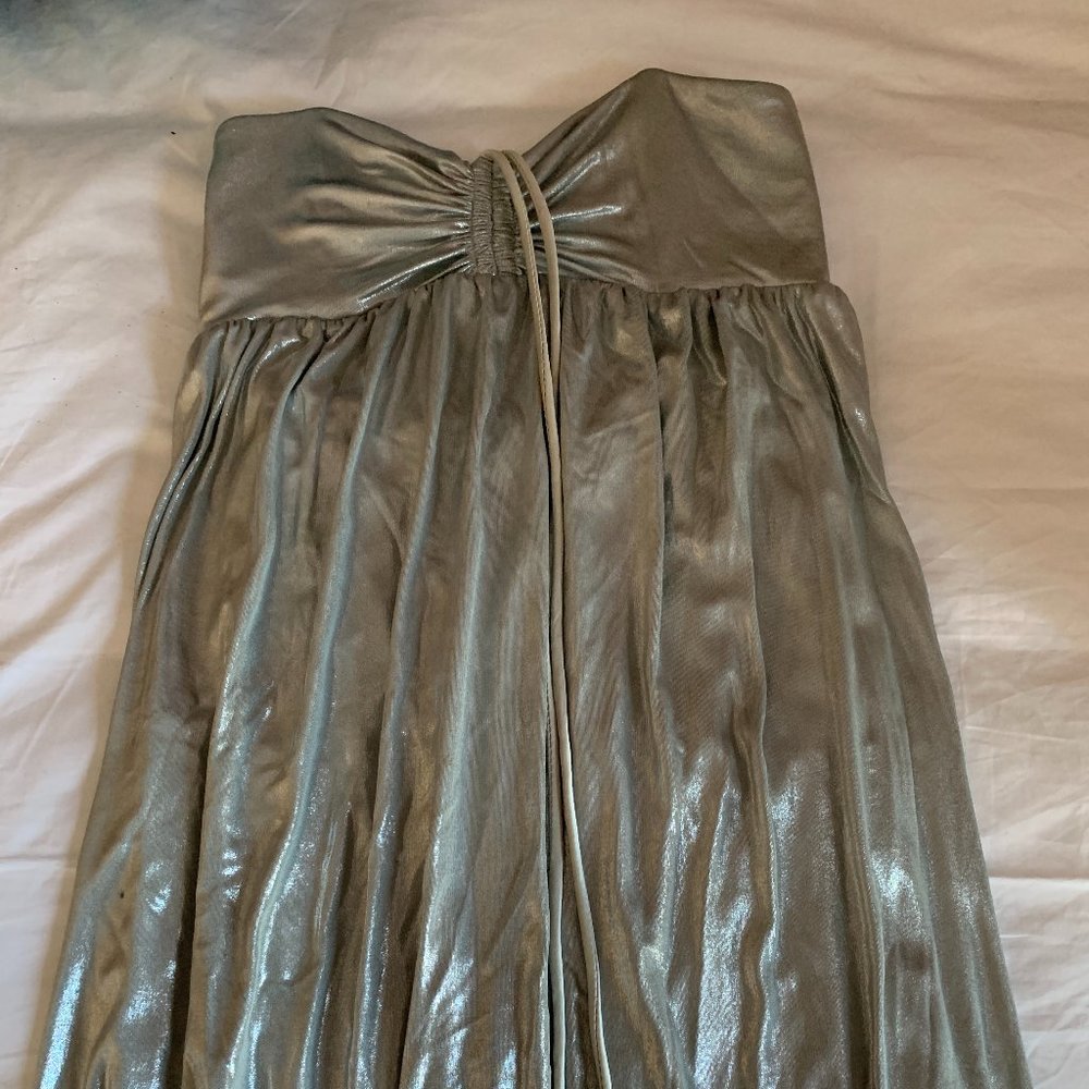 Betsey Johnson Silver Dress